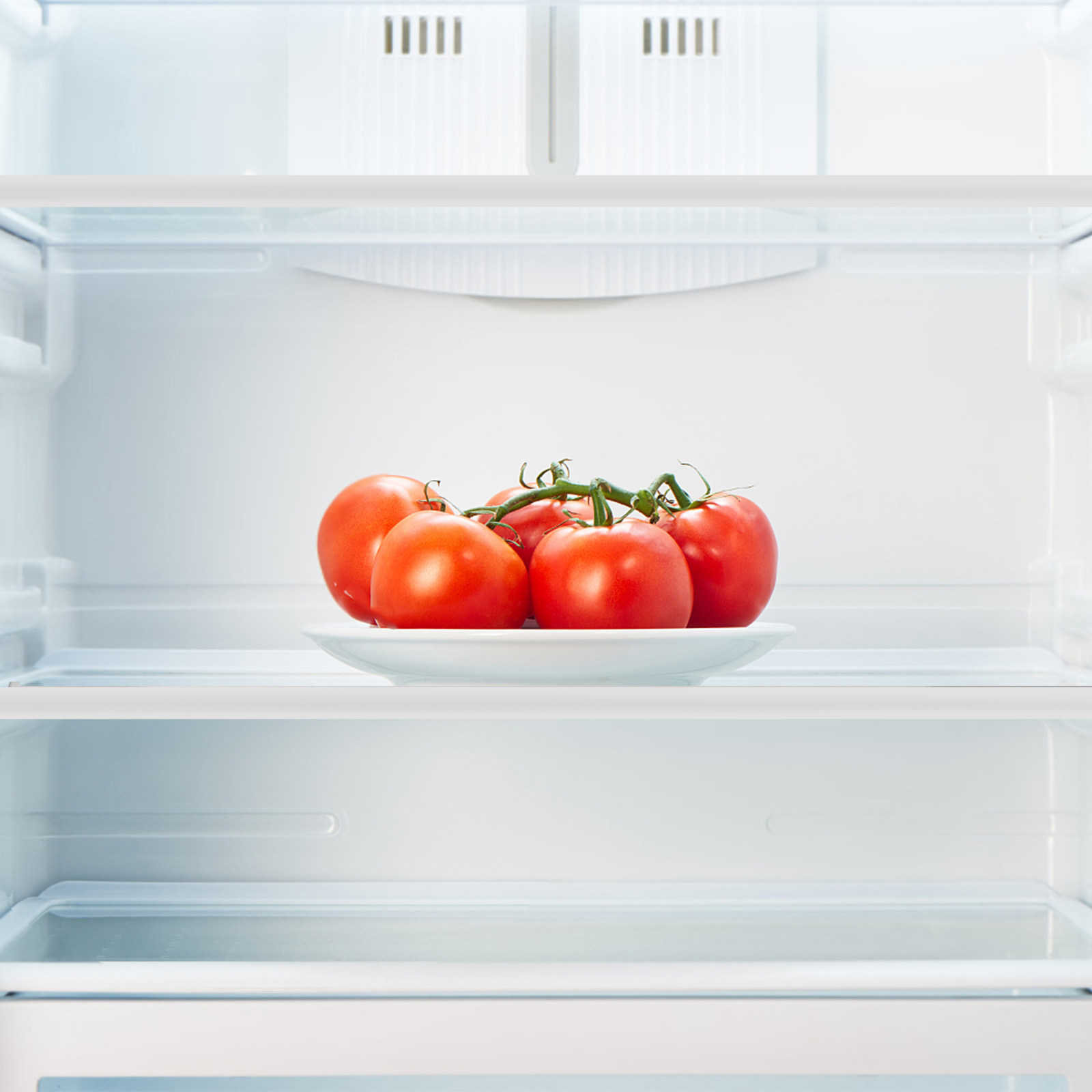Divisor de Vidrio Templado par - Food Storage Glass reseña y precio